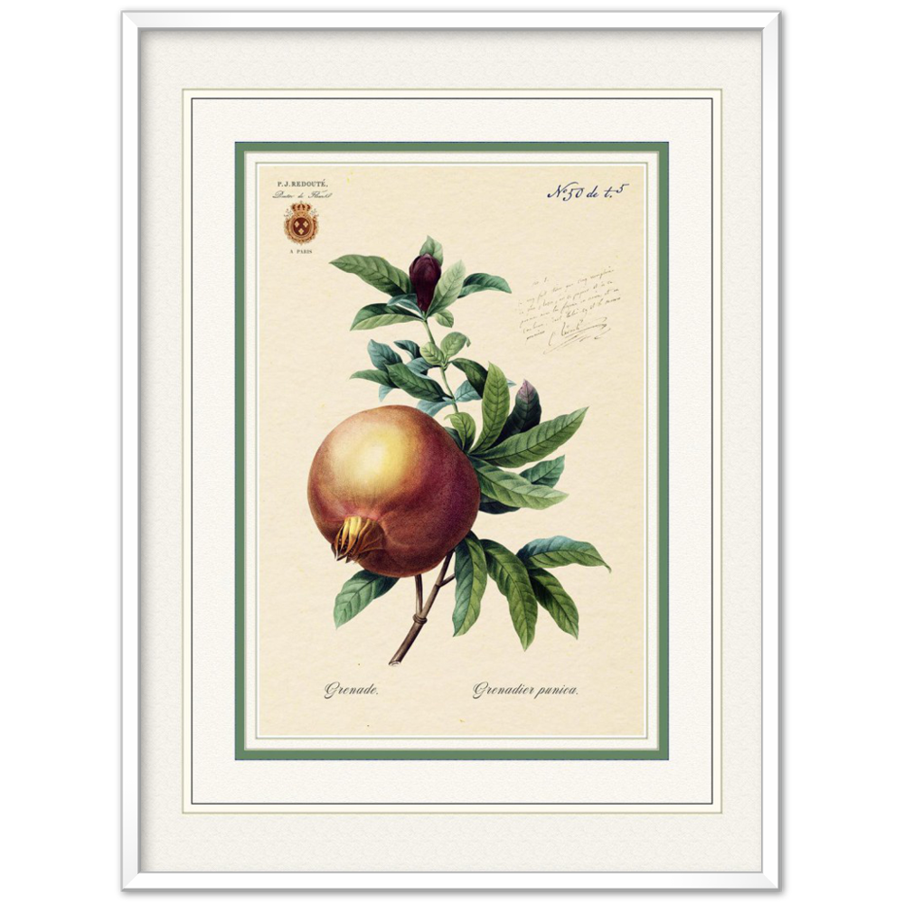 Pomegranate (mat and gold edition)