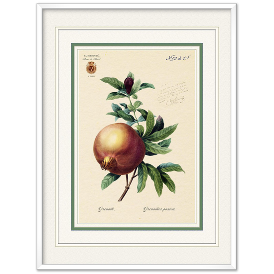 Pomegranate (mat and gold edition)