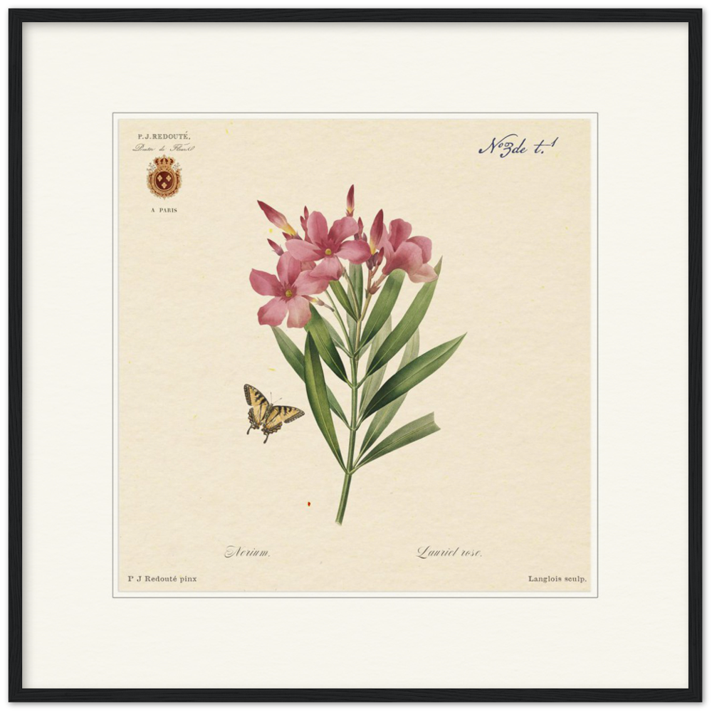 framed botanical print, oleander flower by Redoute