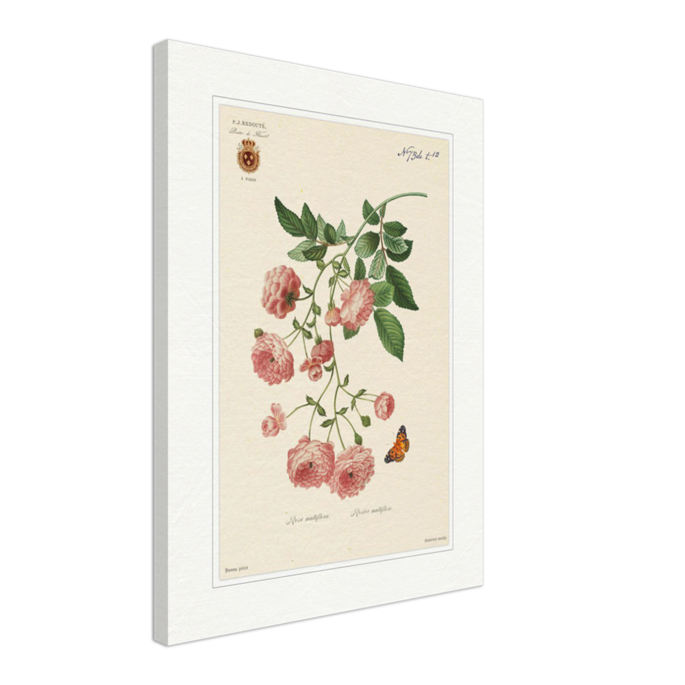 Pierre-Joseph Redouté, floral, flowers, art, wall art, flower prints, botanical, illustration, plants, roses