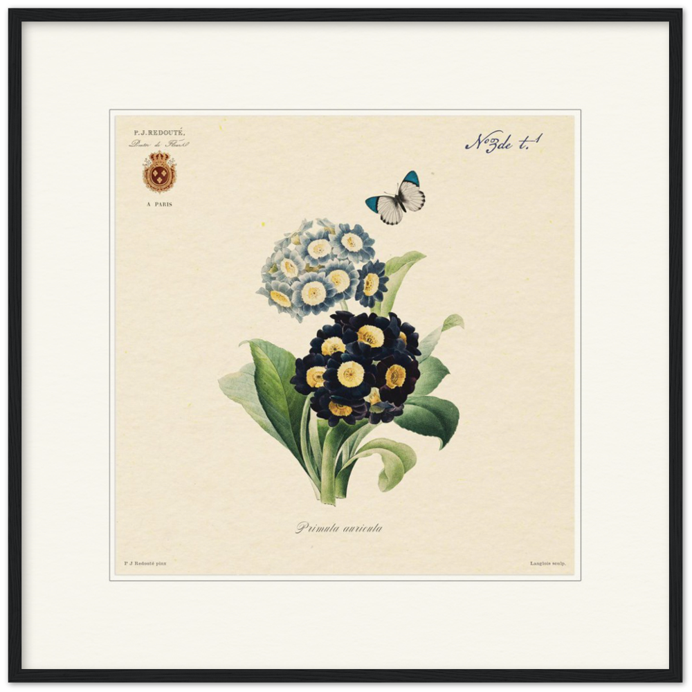 Pierre-Joseph Redouté, floral, flowers, art, wall art, flower prints, botanical, illustration, plants, roses