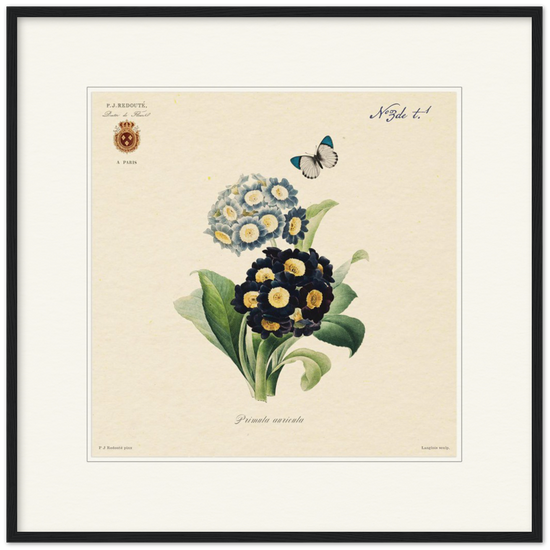 Pierre-Joseph Redouté, floral, flowers, art, wall art, flower prints, botanical, illustration, plants, roses