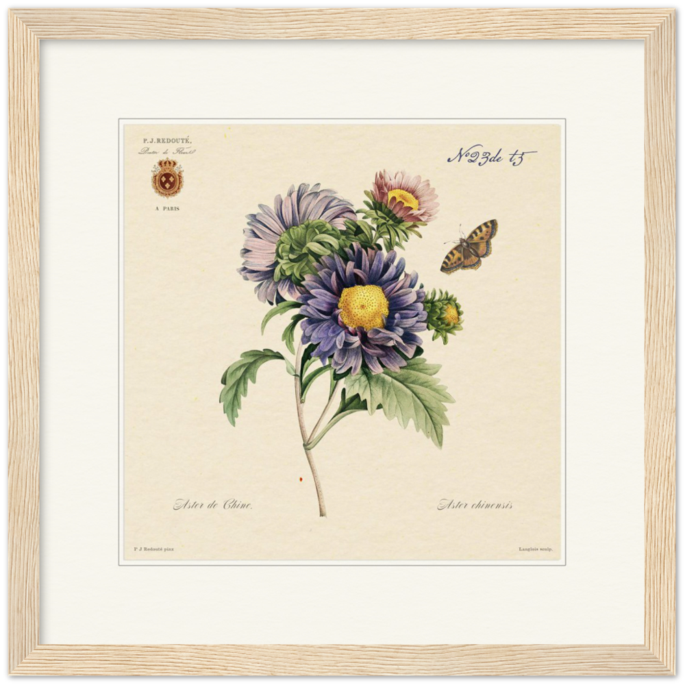 Pierre-Joseph Redouté, floral, flowers, art, wall art, flower prints, botanical, illustration, plants, roses