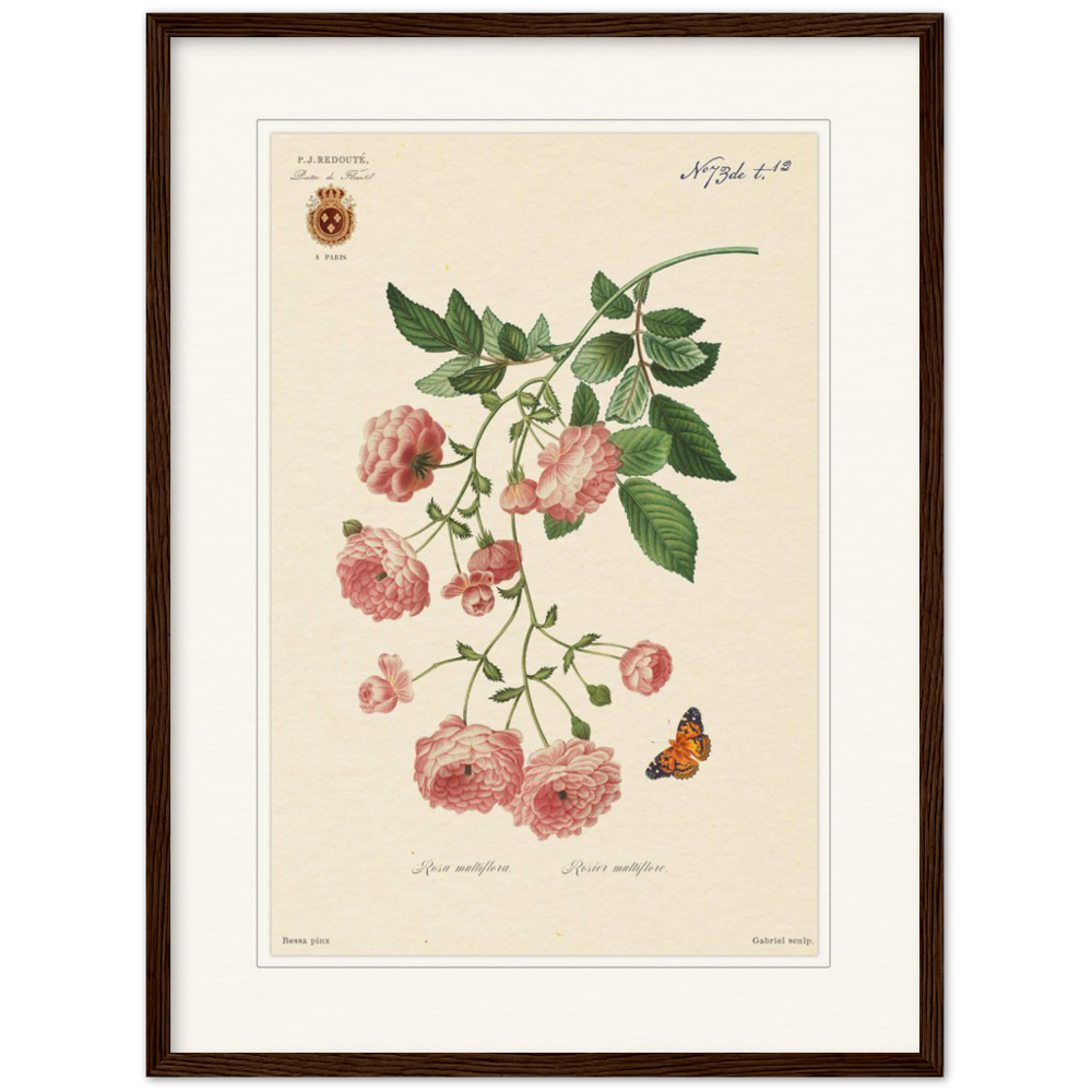 Pierre-Joseph Redouté, floral, flowers, art, wall art, flower prints, botanical, illustration, plants, roses