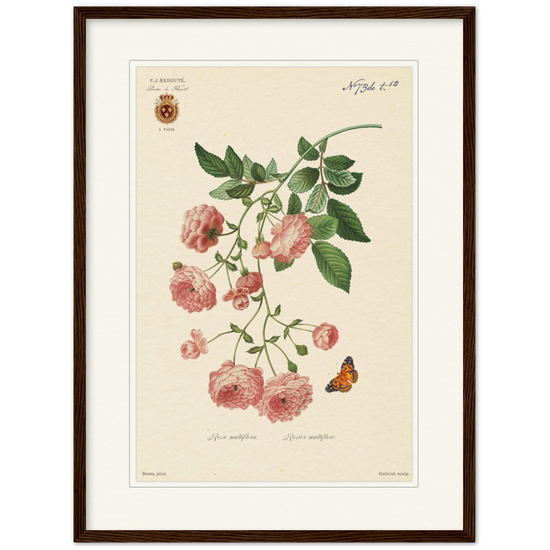 Pierre-Joseph Redouté, floral, flowers, art, wall art, flower prints, botanical, illustration, plants, roses