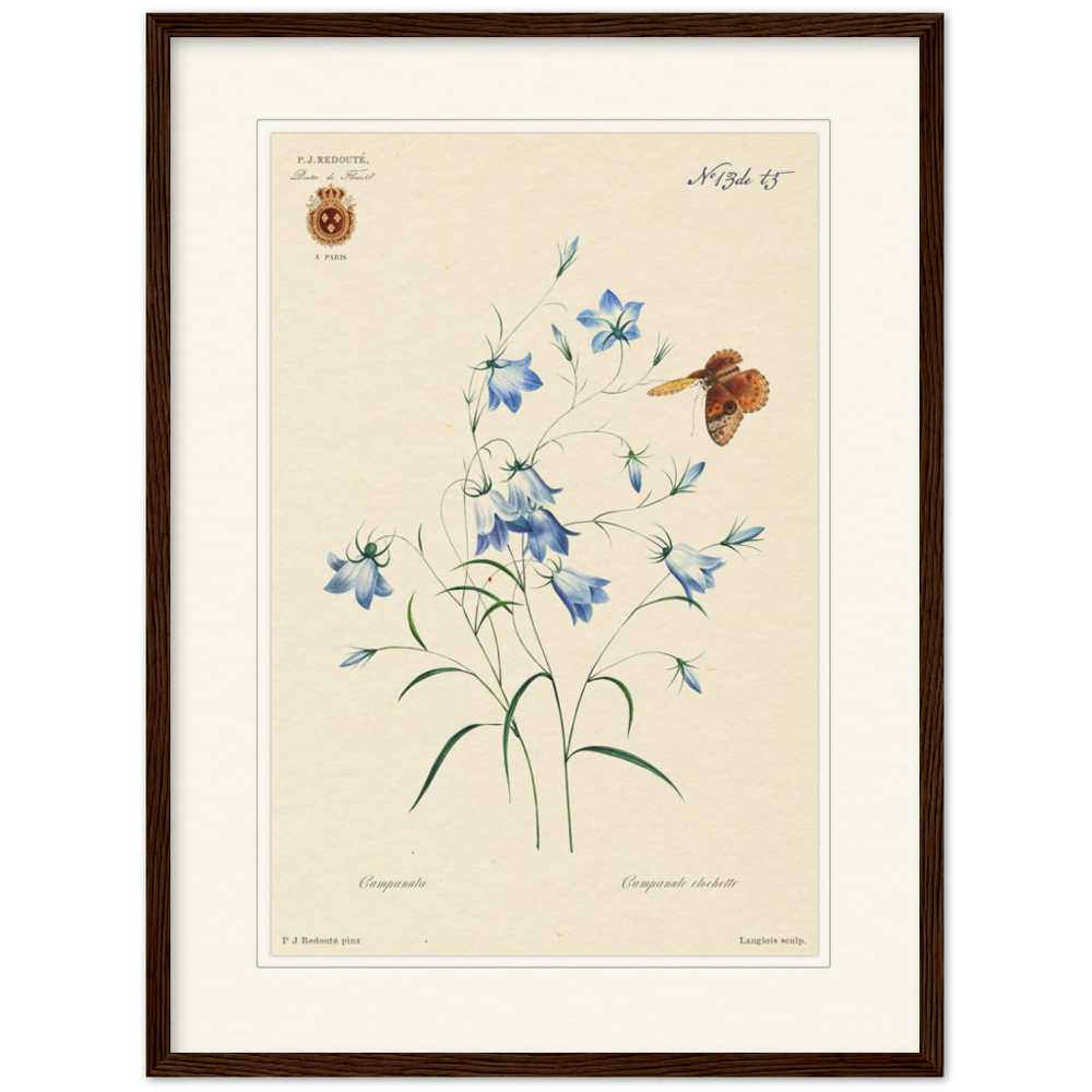 Pierre-Joseph Redouté, floral, flowers, art, wall art, flower prints, botanical, illustration, plants, roses
