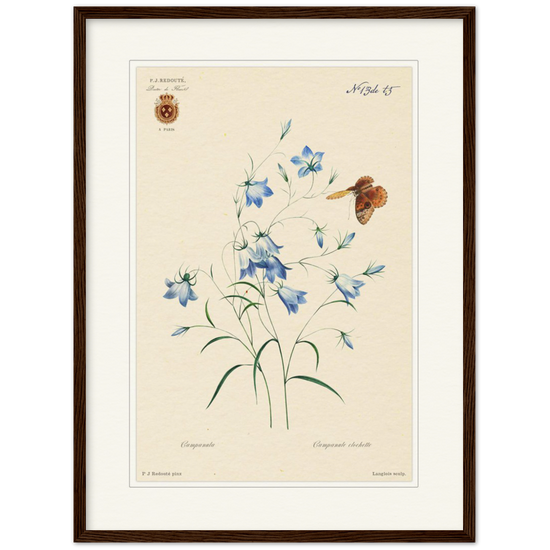 Pierre-Joseph Redouté, floral, flowers, art, wall art, flower prints, botanical, illustration, plants, roses