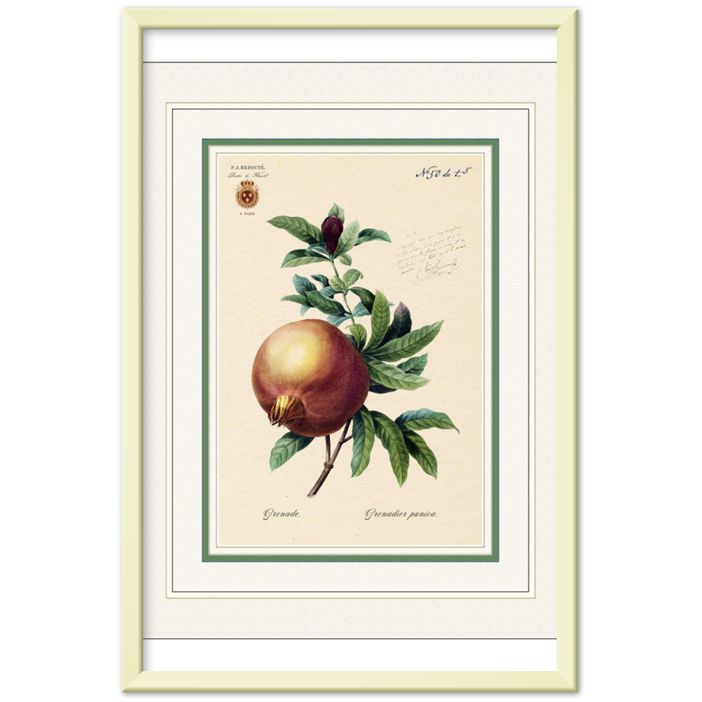 Pomegranate (mat and gold edition)