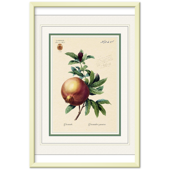 Pomegranate (mat and gold edition)