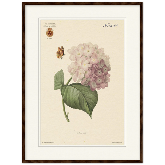 Pierre-Joseph Redouté, floral, flowers, art, wall art, flower prints, botanical, illustration, plants, roses