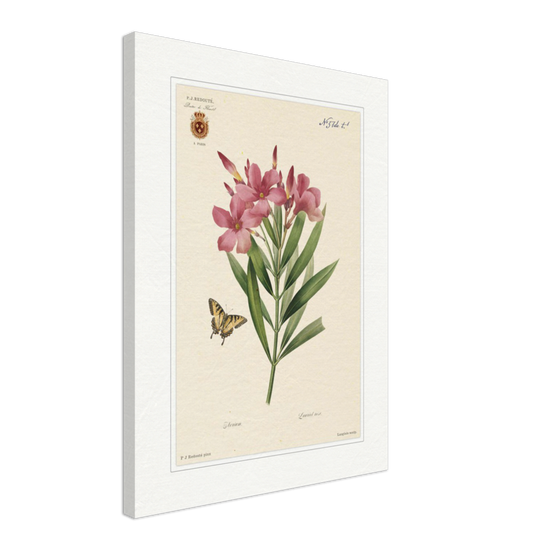 Pierre-Joseph Redouté, floral, flowers, art, wall art, flower prints, botanical, illustration, plants, roses