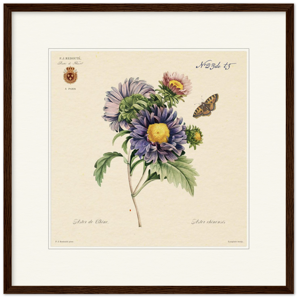 Pierre-Joseph Redouté, floral, flowers, art, wall art, flower prints, botanical, illustration, plants, roses