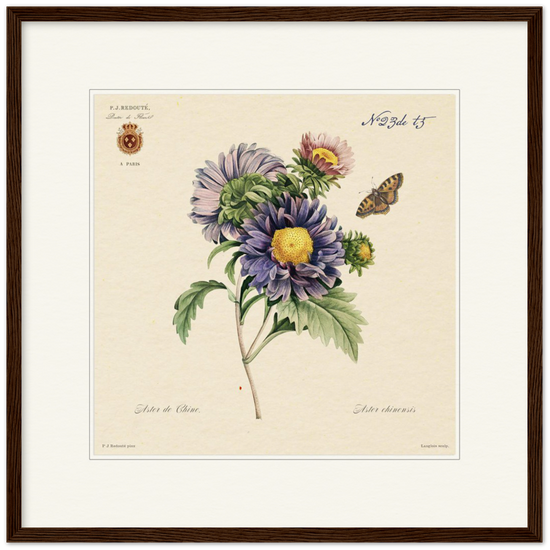 Pierre-Joseph Redouté, floral, flowers, art, wall art, flower prints, botanical, illustration, plants, roses