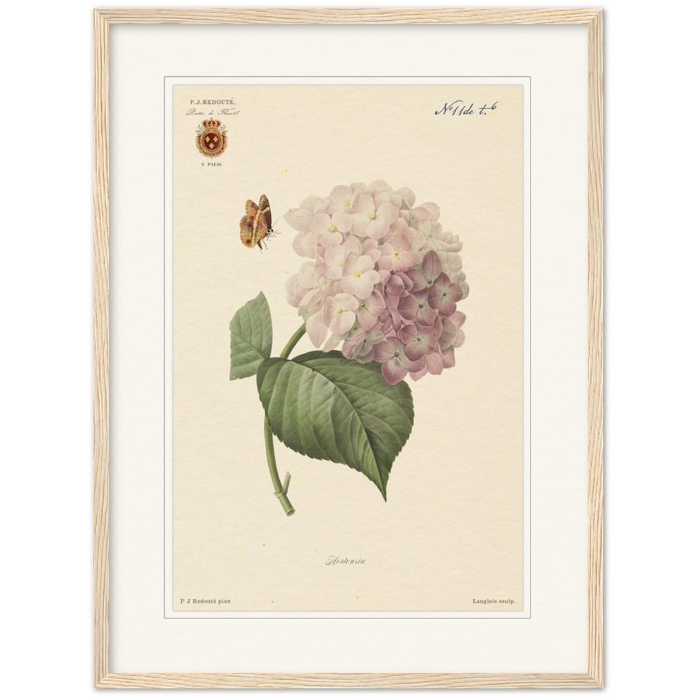 Pierre-Joseph Redouté, floral, flowers, art, wall art, flower prints, botanical, illustration, plants, roses
