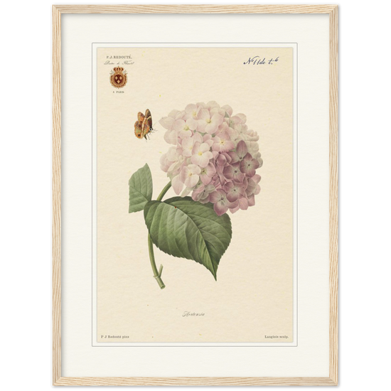 Pierre-Joseph Redouté, floral, flowers, art, wall art, flower prints, botanical, illustration, plants, roses