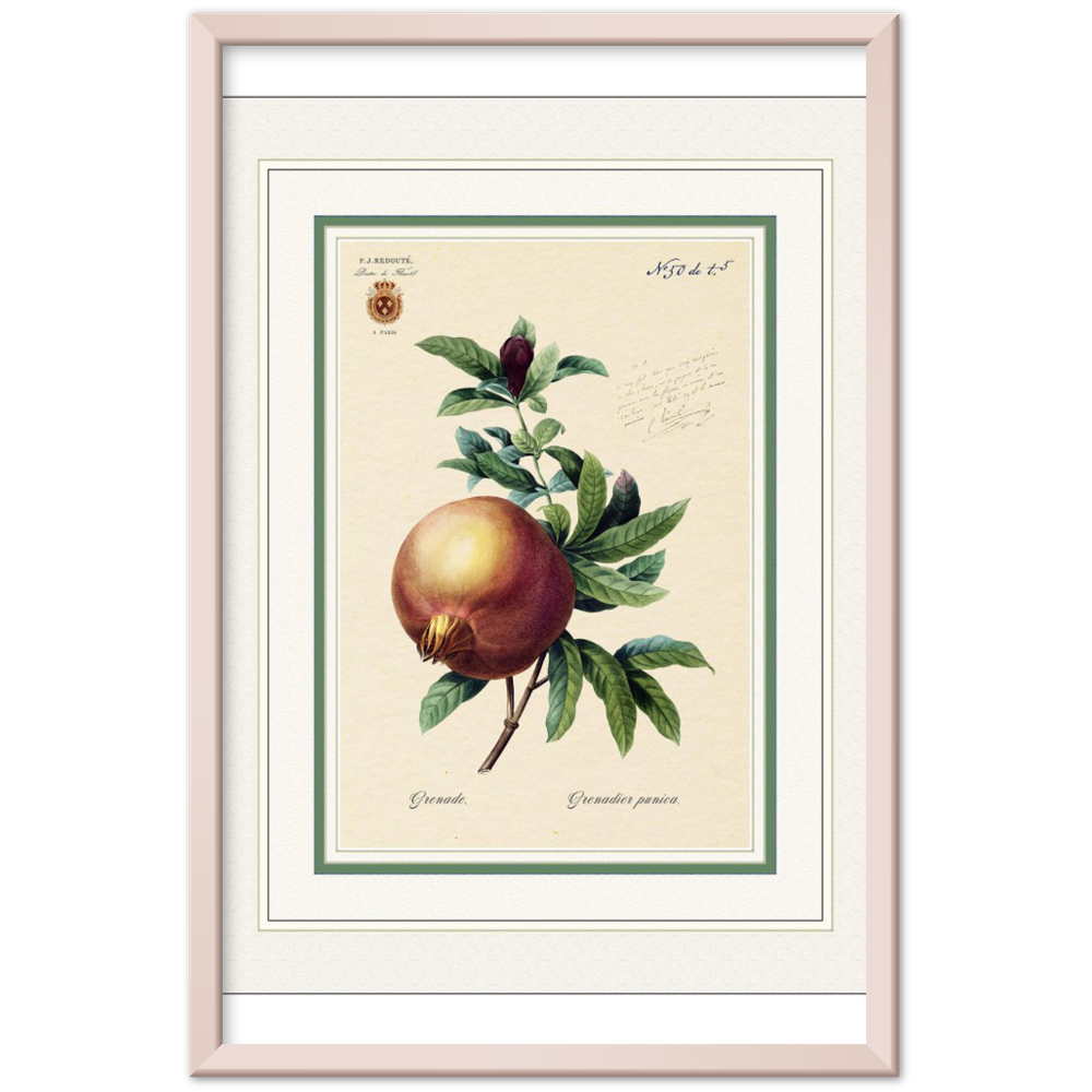 Pomegranate (mat and gold edition)