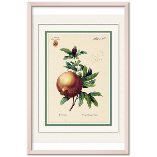 Pomegranate (mat and gold edition)