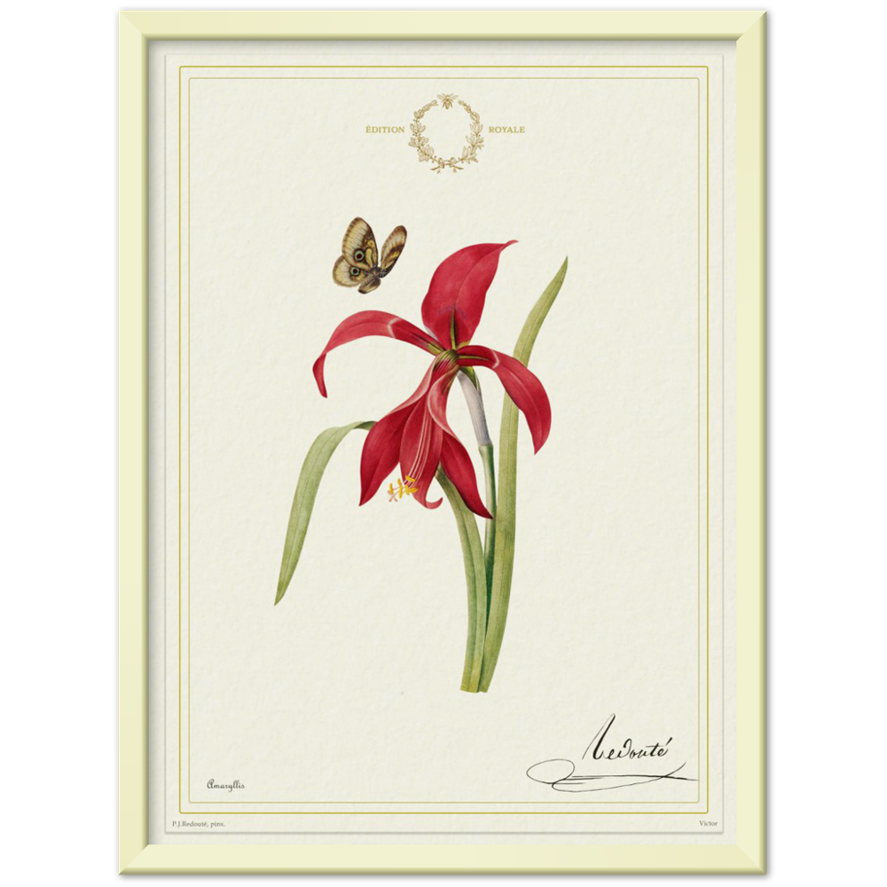 Pierre-Joseph Redouté, floral, flowers, art, wall art, flower prints, botanical, illustration, plants, roses