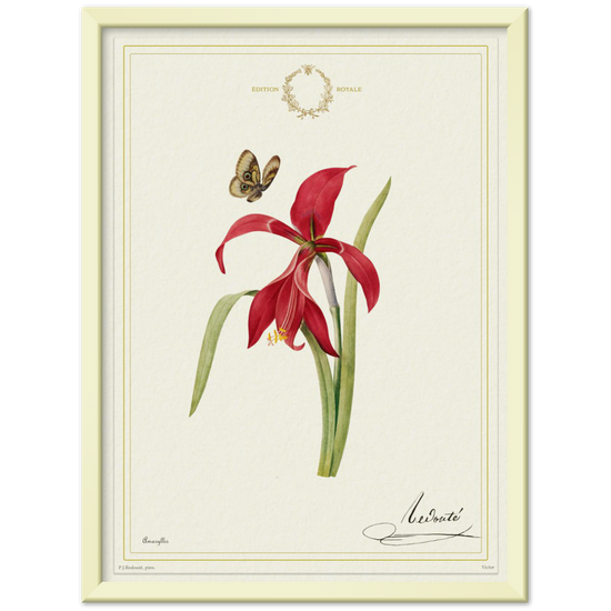Pierre-Joseph Redouté, floral, flowers, art, wall art, flower prints, botanical, illustration, plants, roses
