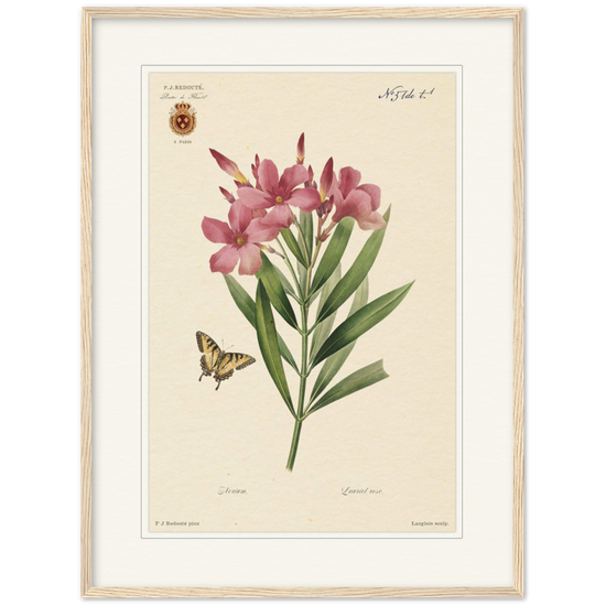 Pierre-Joseph Redouté, floral, flowers, art, wall art, flower prints, botanical, illustration, plants, roses