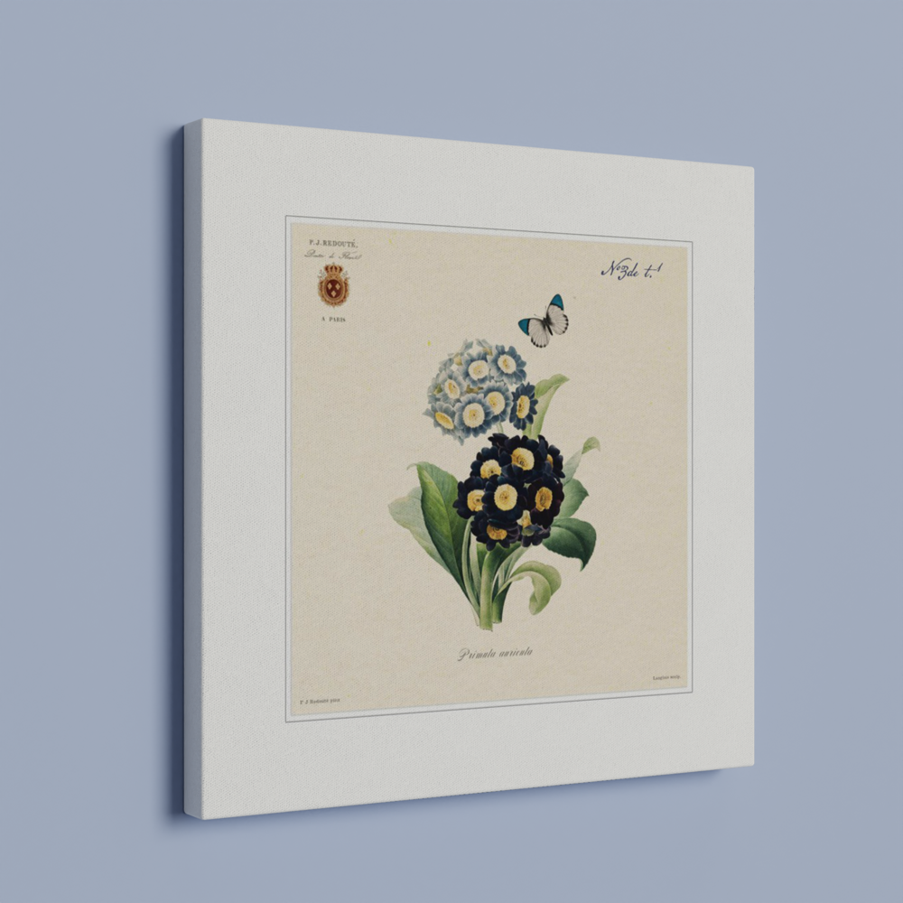 Pierre-Joseph Redouté, floral, flowers, art, wall art, flower prints, botanical, illustration, plants, roses