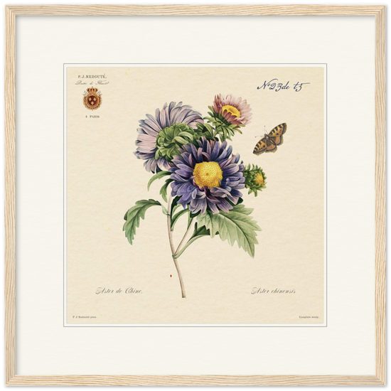 Pierre-Joseph Redouté, floral, flowers, art, wall art, flower prints, botanical, illustration, plants, roses