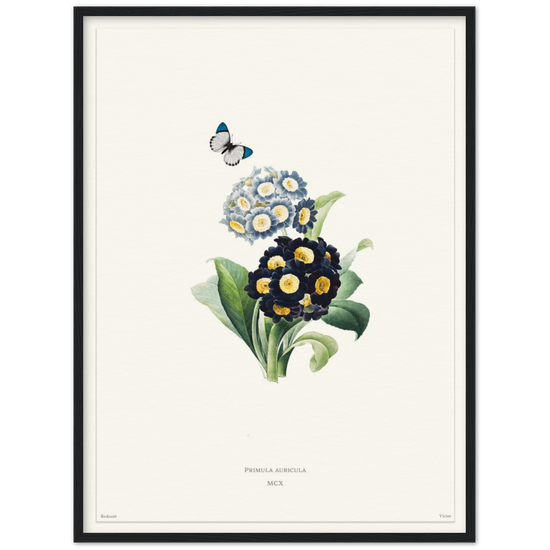 Pierre-Joseph Redouté, floral, flowers, art, wall art, flower prints, botanical, illustration, plants, roses