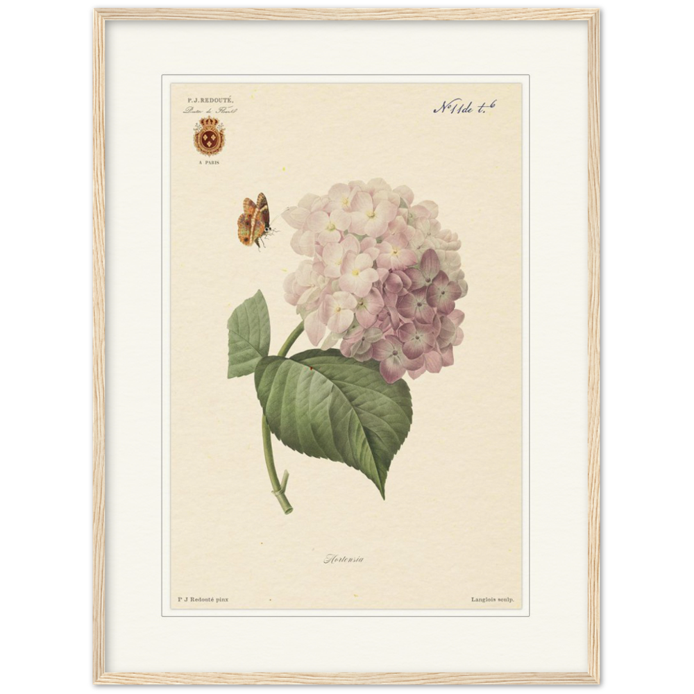 Pierre-Joseph Redouté, floral, flowers, art, wall art, flower prints, botanical, illustration, plants, roses