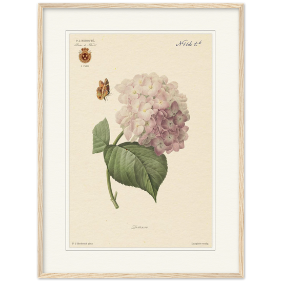 Pierre-Joseph Redouté, floral, flowers, art, wall art, flower prints, botanical, illustration, plants, roses