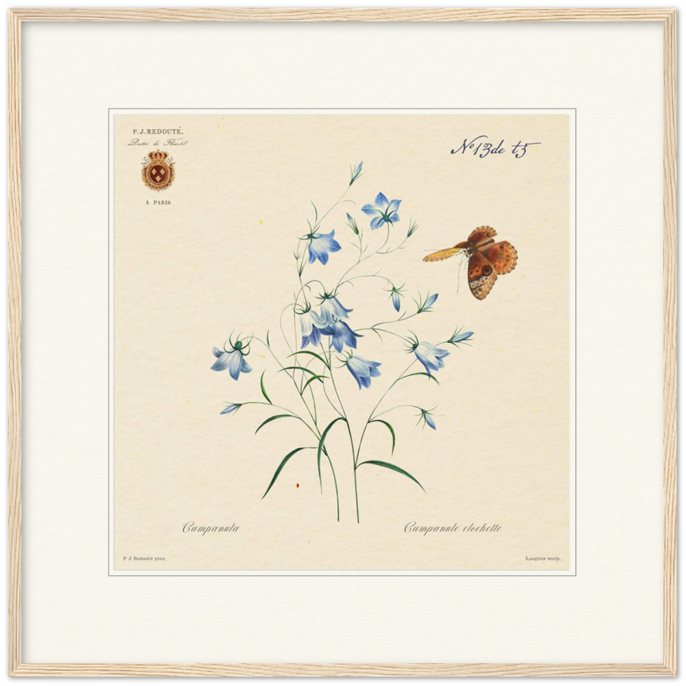 Pierre-Joseph Redouté, floral, flowers, art, wall art, flower prints, botanical, illustration, plants, roses