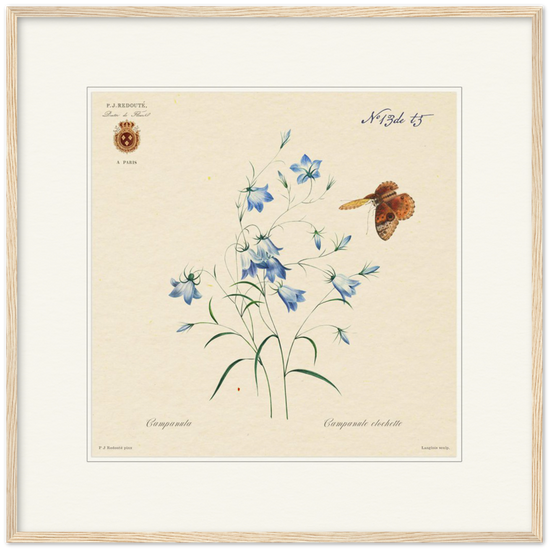 Pierre-Joseph Redouté, floral, flowers, art, wall art, flower prints, botanical, illustration, plants, roses