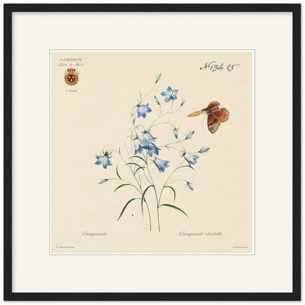 Pierre-Joseph Redouté, floral, flowers, art, wall art, flower prints, botanical, illustration, plants, roses