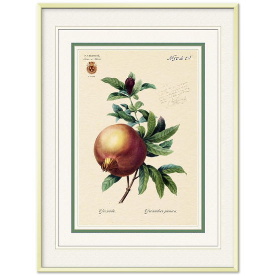 Pomegranate (mat and gold edition)