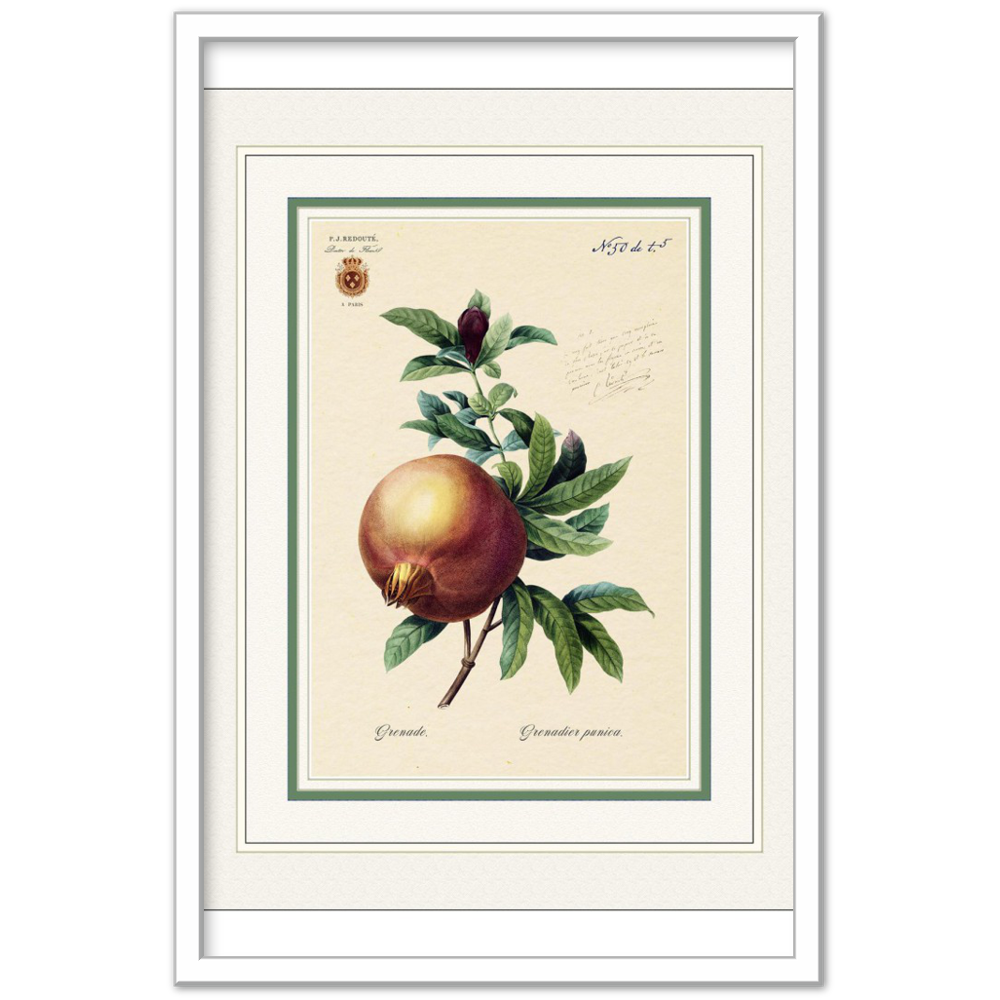 Pomegranate (mat and gold edition)