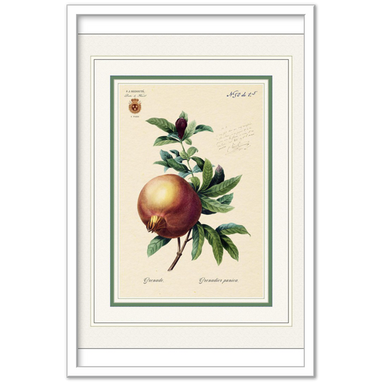 Pomegranate (mat and gold edition)