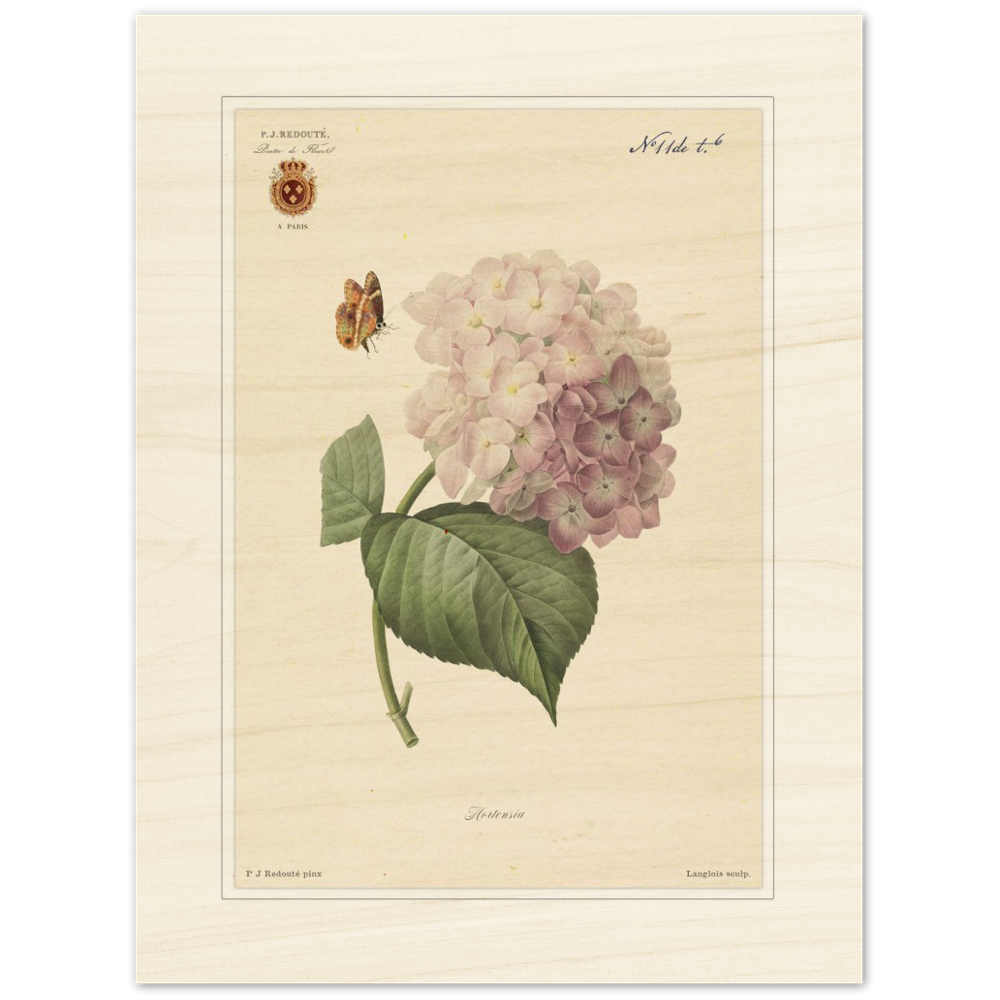 Pierre-Joseph Redouté, floral, flowers, art, wall art, flower prints, botanical, illustration, plants, roses