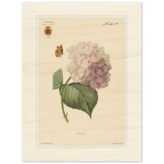 Pierre-Joseph Redouté, floral, flowers, art, wall art, flower prints, botanical, illustration, plants, roses