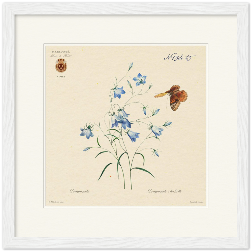 Pierre-Joseph Redouté, floral, flowers, art, wall art, flower prints, botanical, illustration, plants, roses