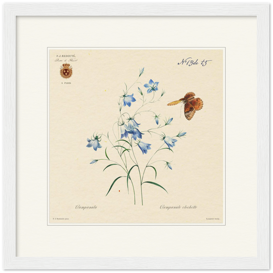 Pierre-Joseph Redouté, floral, flowers, art, wall art, flower prints, botanical, illustration, plants, roses