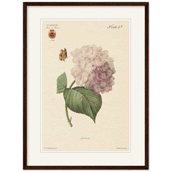 Pierre-Joseph Redouté, floral, flowers, art, wall art, flower prints, botanical, illustration, plants, roses