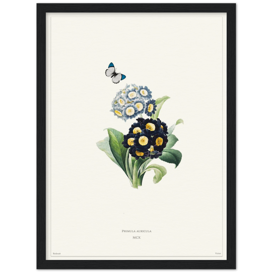 Pierre-Joseph Redouté, floral, flowers, art, wall art, flower prints, botanical, illustration, plants, roses