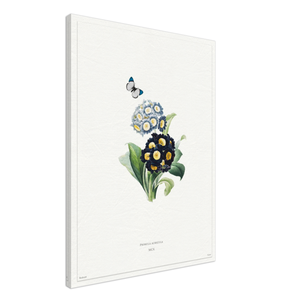 Pierre-Joseph Redouté, floral, flowers, art, wall art, flower prints, botanical, illustration, plants, roses