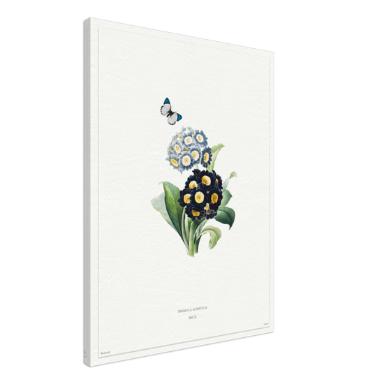 Pierre-Joseph Redouté, floral, flowers, art, wall art, flower prints, botanical, illustration, plants, roses