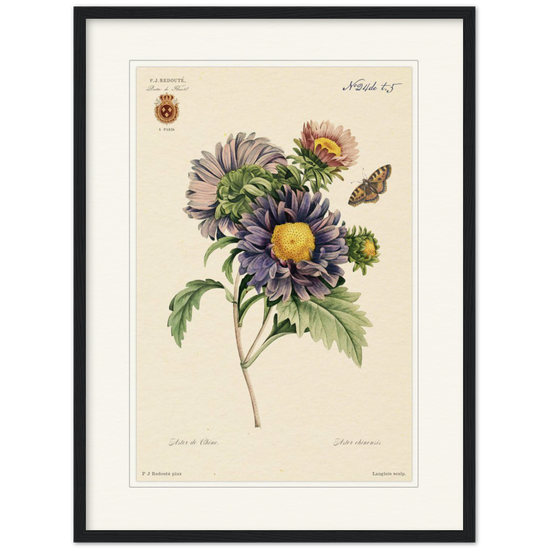 Pierre-Joseph Redouté, floral, flowers, art, wall art, flower prints, botanical, illustration, plants, roses