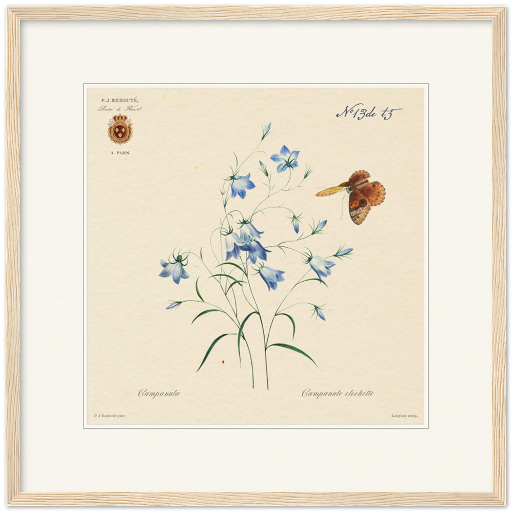 Pierre-Joseph Redouté, floral, flowers, art, wall art, flower prints, botanical, illustration, plants, roses