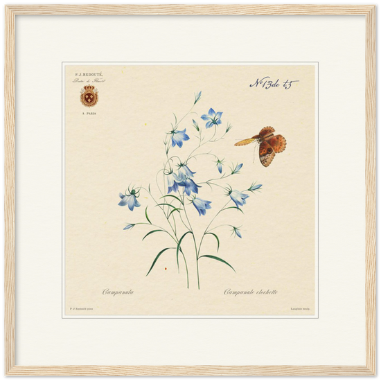 Pierre-Joseph Redouté, floral, flowers, art, wall art, flower prints, botanical, illustration, plants, roses