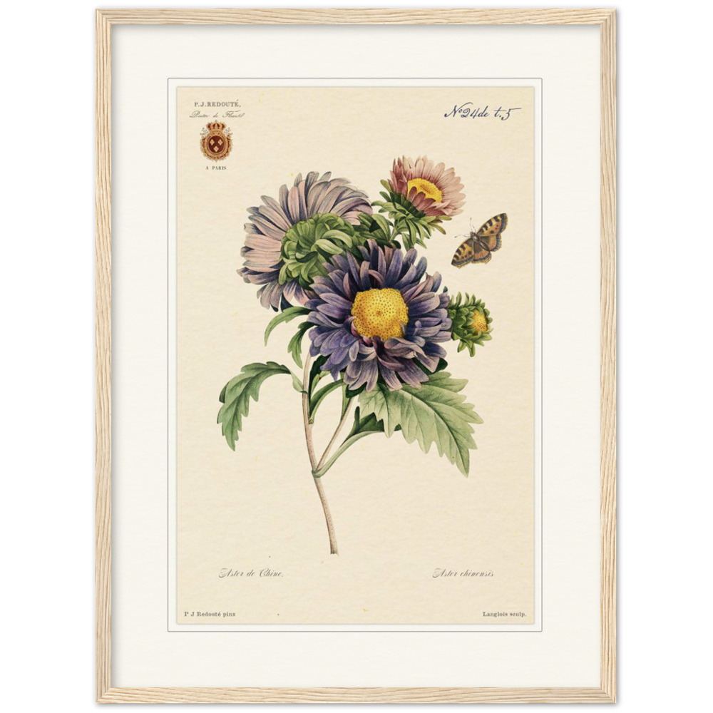 Pierre-Joseph Redouté, floral, flowers, art, wall art, flower prints, botanical, illustration, plants, roses