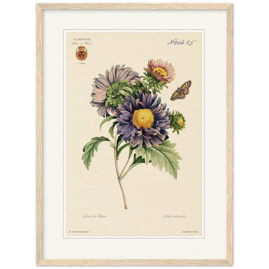 Pierre-Joseph Redouté, floral, flowers, art, wall art, flower prints, botanical, illustration, plants, roses
