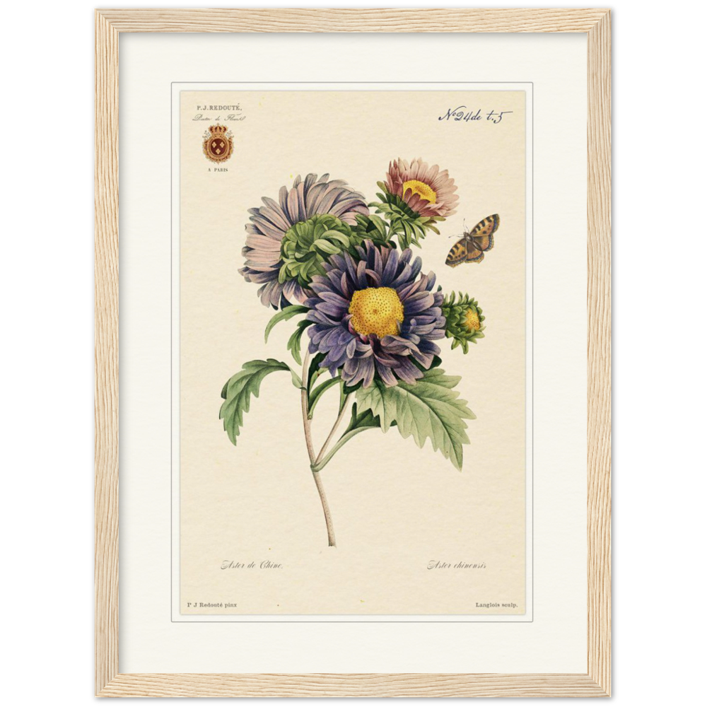 Pierre-Joseph Redouté, floral, flowers, art, wall art, flower prints, botanical, illustration, plants, roses