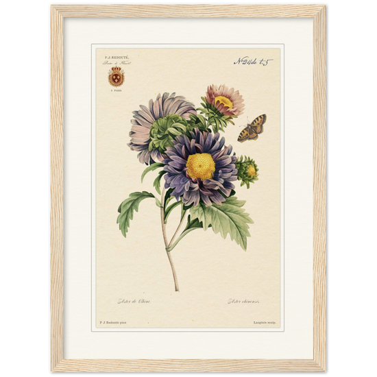 Pierre-Joseph Redouté, floral, flowers, art, wall art, flower prints, botanical, illustration, plants, roses